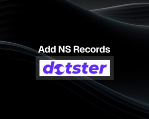 How to Add NS Records in Dotster