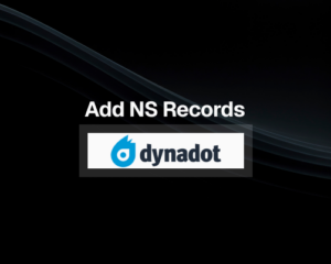 How to Add NS Records in Dynadot