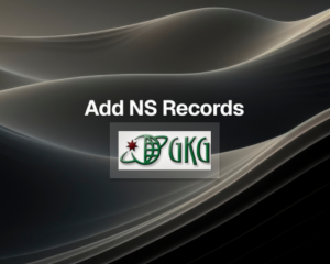 How to Add NS Records in GKG.net