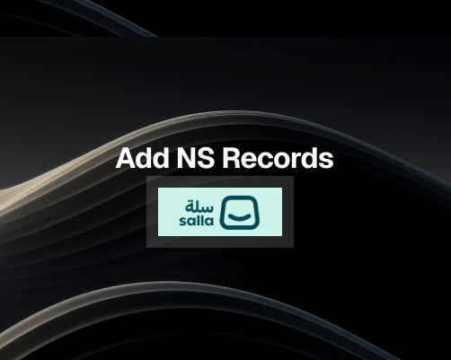 How to Add NS Records in Salla