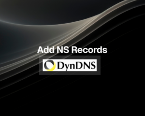 How to Add NS Records in DynDNS