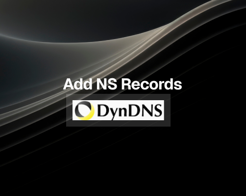 How to Add NS Records in DynDNS